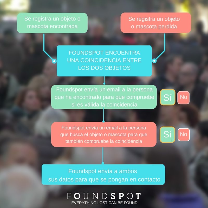 recuperar una mascota perdida - FoundSpot