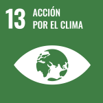 SDG 13